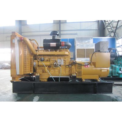 300kw上柴正新柴油發電機組-上柴正新6缸柴油機G128ZLD11柴油發電機組,缸徑/行程：135/150mm,柴油發電機組水冷發動機功率306KW,柴油發電機組配套馬拉松斯坦福發電機。廠價直銷歡迎選購：13773399855。