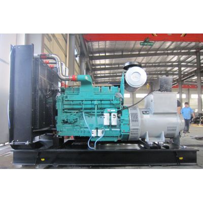 250kw重慶康明斯柴油發(fā)電機(jī)組-重慶康明斯6缸柴油機(jī)NTA855-G1A柴油發(fā)電機(jī)組,缸徑/行程：140/152mm,柴油發(fā)電機(jī)組水冷發(fā)動(dòng)機(jī)功率291KW,柴油發(fā)電機(jī)組配套馬拉松斯坦福發(fā)電機(jī)。廠價(jià)直銷(xiāo)歡迎選購(gòu)：13773399855。
